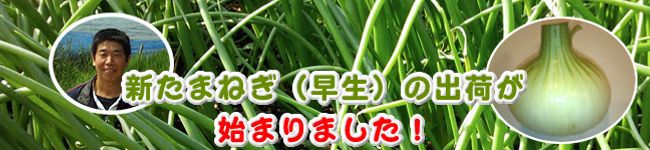 オンリーワンショップ's header image