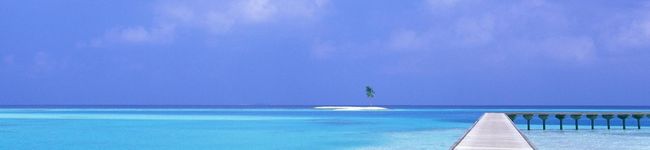 chanpon☆'s header image