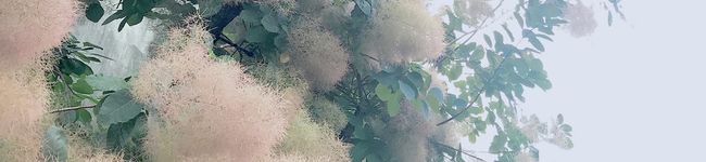 まーさんのキッチン's header image
