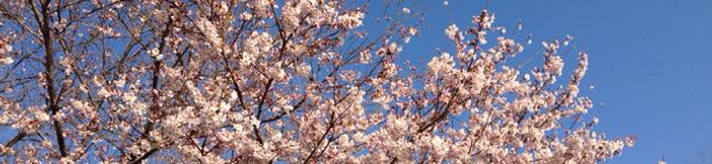 Ochan食堂's header image