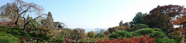 ＊たけのこ里＊'s header image