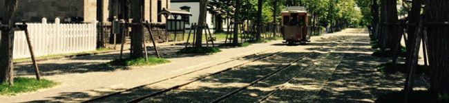 キンクマたま五郎's header image