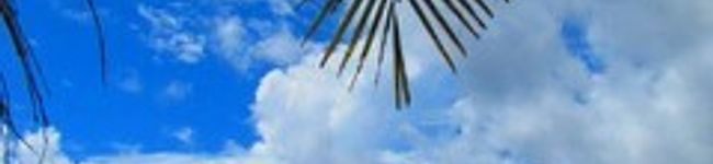 okihawaian's header image