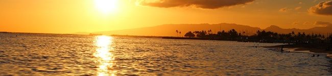 Ｃのキッチン's header image