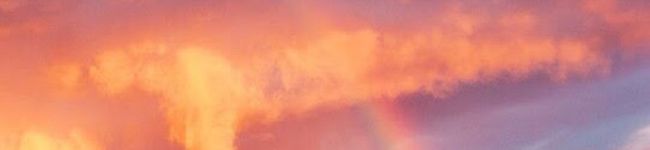 mimiemon's header image