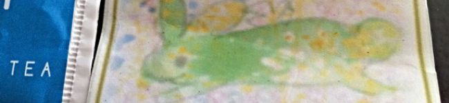 もちモッチ's header image