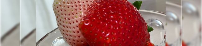 smile321's header image
