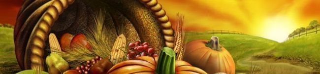 bookra's header image