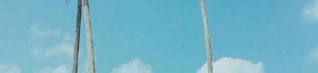 茶虎☆'s header image