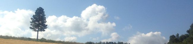 鮎ぴー's header image