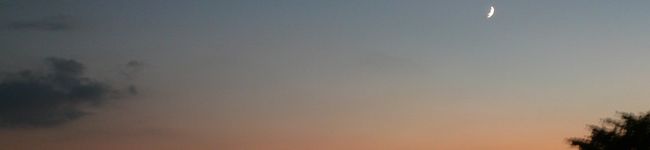 フグフグ's header image