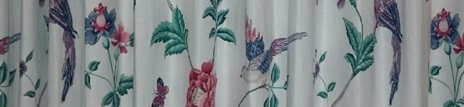 mikasama67's header image