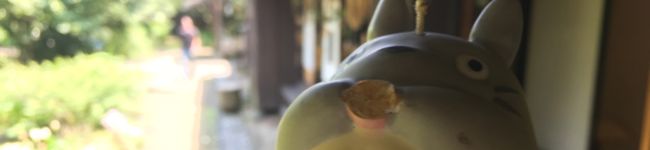 nyaramin's header image