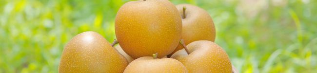 食パラダイス鳥取県's header image