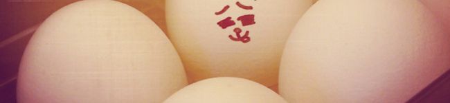 chiro824's header image