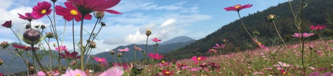 ｈｏｋｏ's header image
