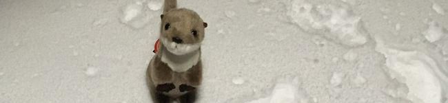 吉井さん☆'s header image