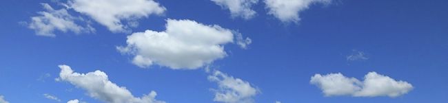 ちびゴジ's header image