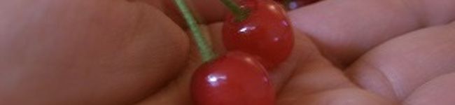 aloha-ciao's header image
