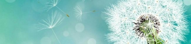 sioyuyu's header image