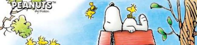 asacook☆'s header image
