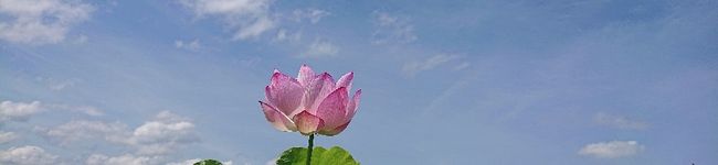 これでいいのだ！'s header image