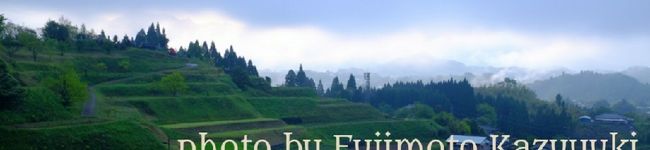 いいともの台所's header image