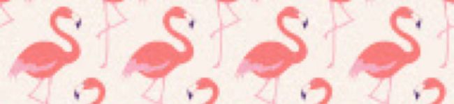 ＊あやっちー＊'s header image