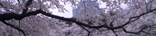 平蔵ちゃん's header image