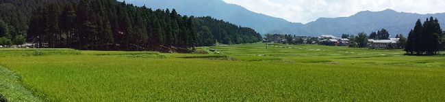 yantyabonz's header image