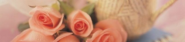 ♡ぴよっぷ♡'s header image