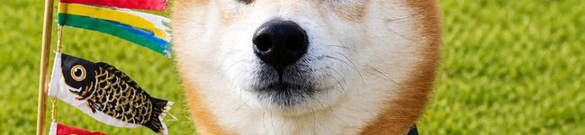 ❤️かわだん❤️'s header image