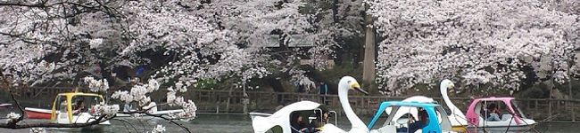 tkmspgr's header image