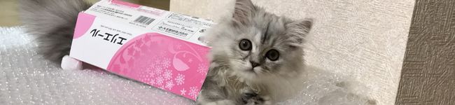 みさこママ's header image