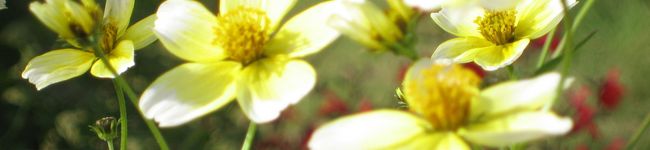 ＪＵＮＥＳ's header image