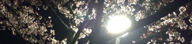 サミ☆彡's header image