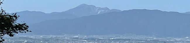 ソーダフロート's header image