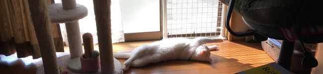 のんびり主婦K子's header image