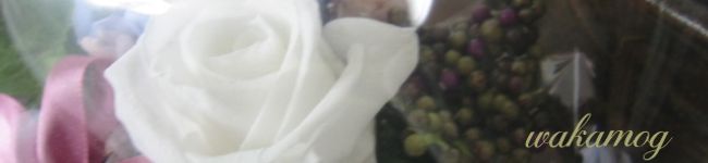 wakamog's header image