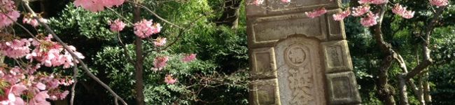 miyuchin16's header image