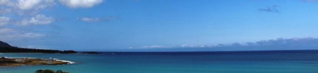 もいんしょれ's header image