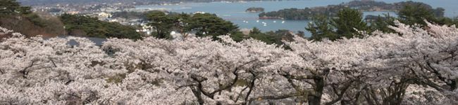 さゆまーる's header image
