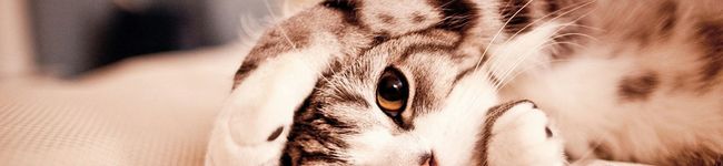 ♡まーちむ♡'s header image