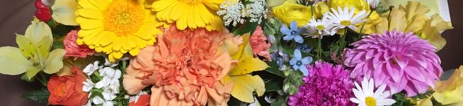 Cheechees4's header image
