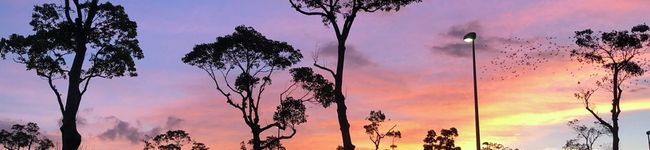 akemog's header image