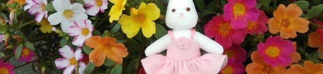 京ちゃんプー☆'s header image