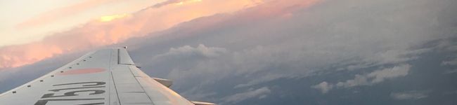 cat☆cat's header image