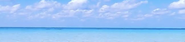 虎鷹翔碧ママ's header image