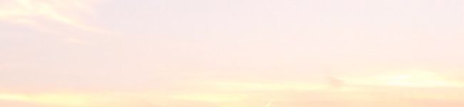 あいりgohan's header image