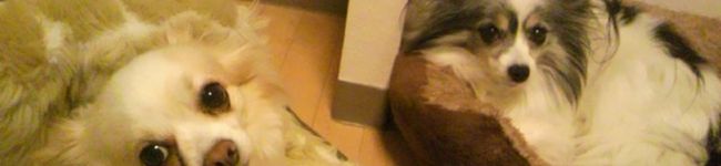 ajyuly's header image
